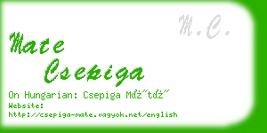 mate csepiga business card